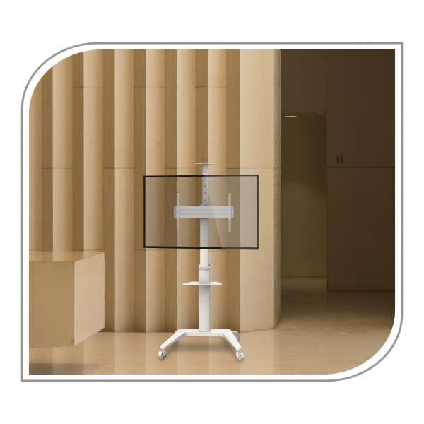 PureMounts® Premium TV Cart - Single Display bis 70", weiß